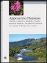 Mariangela Fedeli, P. Segurini - Appennino pistoiese