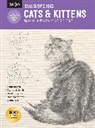 Cindy Smith, Cindy/ Stacey Smith, Nolon Stacey, Mia Tavonatti - Drawing - Cats & Kittens