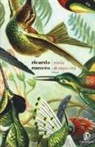Ricardo Romero - Storia di Roque Rey