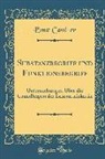 Ernst Cassirer - Substanzbegriff Und Funktionsbegriff: Untersuchungen Über Die Grundfragen Der Erkenntniskritik (Classic Reprint)