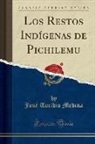 Jose Toribio Medina, José Toribio Medina - Los Restos Indígenas de Pichilemu (Classic Reprint)