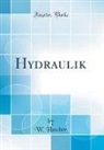 W. Hauber - Hydraulik (Classic Reprint)
