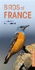 Aurelien Audevard, Aurélien Audevard, James Lowen, James Audevard Lowen, Lowen James, Aurélien Audevard - Birds of France