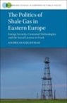 Andreas Goldthau, Andreas (Royal Holloway Goldthau - Politics of Shale Gas in Eastern Europe