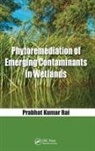 Prabhat Kumar Rai, Rai Prabhat Kumar - Phytoremediation of Emerging Contaminants in Wetlands