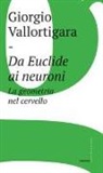 Giorgio Vallortigara - Da Euclide ai neuroni. La geometria nel cervello