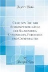 Theophil Lotz - Über den Bau der Schwanzwirbelsäule der Salmoniden, Cyprinoiden, Percoiden und Cataphracten (Classic Reprint)