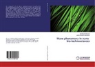 Miros¿aw Koz¿owski, Mirosla Kozlowski, Miroslaw Kozlowski, Janina Marciak-Kozlowska - Wave phenomena in nano-bio-technosciences