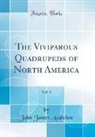 John James Audubon - The Viviparous Quadrupeds of North America, Vol. 1 (Classic Reprint)