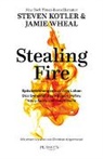 Steve Kotler, Steven Kotler, Jamie Wheal - Stealing Fire