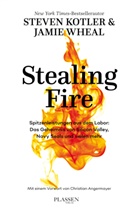 Steve Kotler, Steven Kotler, Jamie Wheal - Stealing Fire