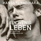 Hanya Yanagihara, Torben Keßler - Ein wenig Leben, 4 Audio-CD, 4 MP3 (Hörbuch)