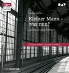Hans Fallada, Jutta Hoffmann - Kleiner Mann - was nun?, 1 Audio-CD, 1 MP3 (Livre audio)