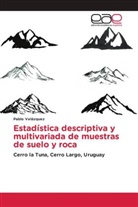 Pablo Velázquez - Estadística descriptiva y multivariada de muestras de suelo y roca