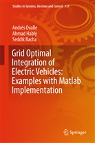 Seddik Bacha, Ahma Hably, Ahmad Hably, André Ovalle, Andrés Ovalle - Grid Optimal Integration of Electric Vehicles: Examples with Matlab Implementation