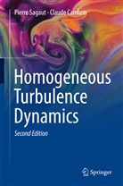 Claude Cambon, Pierr Sagaut, Pierre Sagaut - Homogeneous Turbulence Dynamics