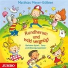 Matthias Meyer-Göllner - Rundherum und wild vergnügt, Audio-CD (Audiolibro)