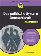 Sebastian Wolf - Das politische System Deutschlands für Dummies