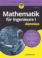 J Michael Fried, J. Michael Fried - Mathematik für Ingenieure I für Dummies