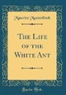 Maurice Maeterlinck - The Life of the White Ant (Classic Reprint)