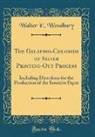 Walter E. Woodbury - The Gelatino-Chloride of Silver Printing-Out Process