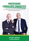 Mauro Bianchi, Daniele Iudicone - Professione consulente energetico
