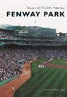 Raymond Sinibaldi - Fenway Park