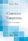 Luigi Dasti - Corneto Tarquinia