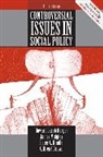 C. Brene Brown, Howard Jacob Karger, Peter Kindle, James Midgley - Controversial Issues in Social Policy