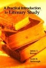 James S. Brown, Scott D. Yarbrough - Practical Introduction to Literary Study, A