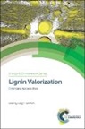 Gregg T Beckham, Gregg T (National Renewable Energy Labora Beckham, Gregg T Beckham, Gregg T (National Renewable Energy Laboratory Beckham, Gregg T. Beckham - Lignin Valorization