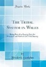 Frederic Seebohm - The Tribal System in Wales