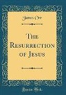 James Orr - The Resurrection of Jesus (Classic Reprint)