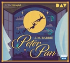 J. M. Barrie, James Matthew Barrie, Andreas Fröhlich, Laura Schwamman - Peter Pan, 2 Audio-CDs (Hörbuch)