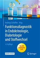 Andrea Schäffler, Andreas Schäffler - Funktionsdiagnostik in Endokrinologie, Diabetologie und Stoffwechsel