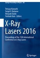 Sergei V. Bulanov, Hiroyuki Daido, Hiroyuki Daido et al, Yoshiaki Kato, Tetsuya Kawachi, Serge V Bulanov... - X-Ray Lasers 2016