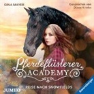 Gina Mayer, Diana Kriehn - Pferdeflüsterer-Academy - Reise nach Snowfields, 2 Audio-CDs (Hörbuch)