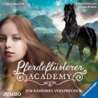 Gina Mayer, Diana Kriehn - Pferdeflüsterer-Academy - Ein geheimes Versprechen, 2 Audio-CDs (Livre audio)