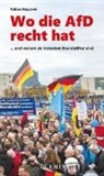 Fabian Stepanek - Wo die AfD recht hat