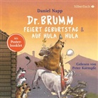 Daniel Napp, Peter Kaempfe - Dr. Brumm feiert Geburtstag / Dr. Brumm auf Hula Hula, 1 Audio-CD (Hörbuch)