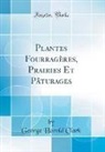 George Harold Clark - Plantes Fourragères, Prairies Et Pâturages (Classic Reprint)