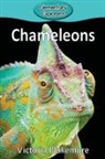Victoria Blakemore - Chameleons