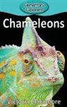 Victoria Blakemore - Chameleons