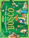 Tony Wolf - Il meraviglioso libro pop-up del bosco