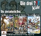 Die drei ??? Kids 3er Box. Box.13, 3 Audio-CDs (Hörbuch)