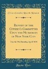Citizens' Committee Upon the Nuisances - Report of the Citizen's Committee Upon the Nuisances of New York City: The Air We Breathe; April 1878 (Classic Reprint)