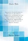 Marcus Braun - Immigration Abuses Glimpses of Hungary and Hungarians a Narrative of the Experiences of an American Immigrant Inspector, While on Duty in Hungary, Together With a Brief Review, of That Country's History and Present Troubles (Classic Reprint)