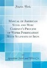 American Steel and Wire Co, American Steel And Wire Company - Manual of American Steel and Wire Company's Process of Water Purification With Sulphate of Iron (Classic Reprint)
