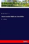 Friedrich Gerstäcker - Amerikanische Wald- und Strombilder