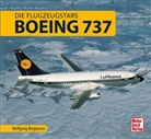 Wolfgang Borgmann - Boeing 737